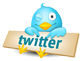 Twitter Bird